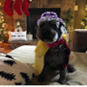 Meet your Posher, Ella